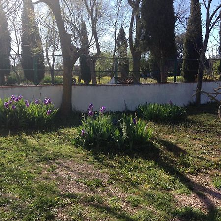 Agroturismo Calixto Villarrobledo Luaran gambar