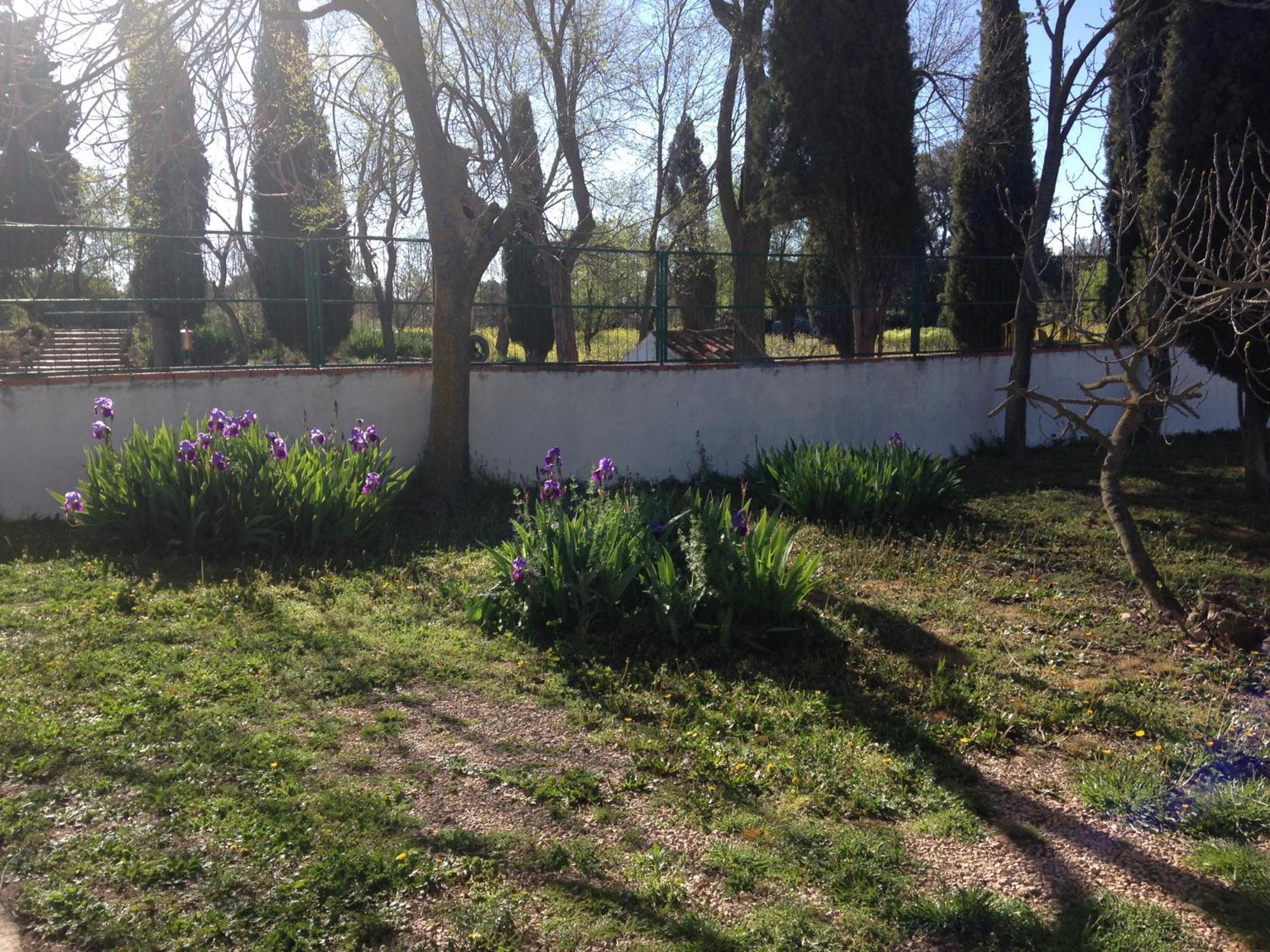 Agroturismo Calixto Villarrobledo Luaran gambar